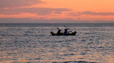 Oars in the Water